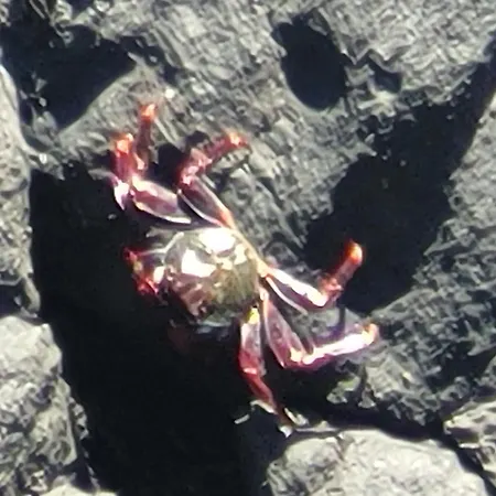 Σπίτι διακοπών Salinas Cancajos *