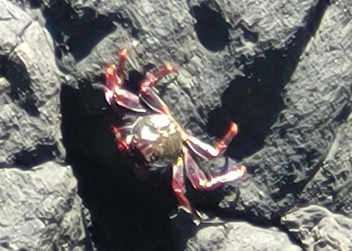 別荘 Salinas Cancajos *